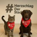 Halstuch für Vierbeiner 3