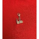 Kölner Dom Charm 5